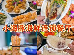 -亚龙湾热带天堂森林公园