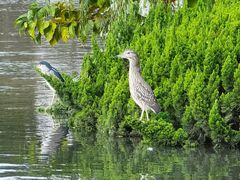 -苏州河梦清园环保主题公园