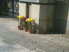 -广州市越秀区育才实验学校