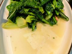 -陈麻婆豆腐(旗舰店)