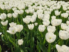 -玄武湖景区-情侣园游乐场