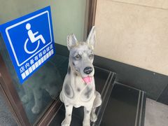 -松子料理(白家庄店)