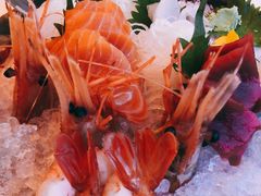-Kathleen's Waitan 凯圣琳江景西餐厅(外滩店)