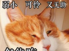 -云城照相馆(龙湖雨山天街店)