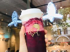 -喜茶(上海打浦桥日月光gelato lab+店)