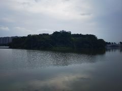 -飞来湖湿地公园