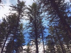 -硗碛藏寨·神木垒景区