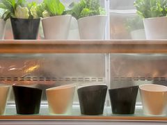 蔬菜-博林圣海伦酒店-LA VILLA自助西餐厅(华侨城店)