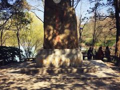 -咸宁万豪温泉谷度假区