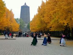 -玲珑塔公园