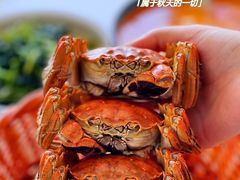 -品鲜村农家菜·阳澄湖大闸蟹(总店)