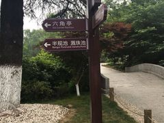 -习家池