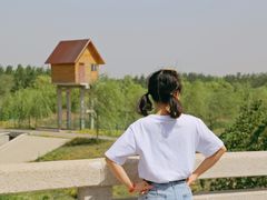 -东郊湿地公园