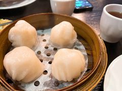添运来虾饺皇-添运来(茶园奥园广场店)