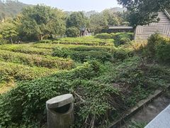 -黄陂区野村谷景区