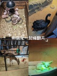 -酷嗒动物文化乐园(cutezoo西溪乐天城店)