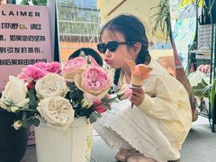 -京北渔家傲