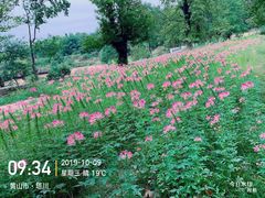 -塔川景区