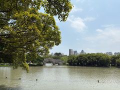 -江心屿景区