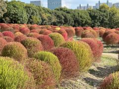 -世纪公园-世纪春沁园