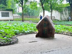 -绍兴鲁迅故里·沈园景区