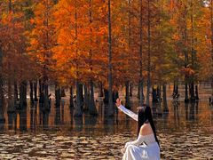 -白鹭湾湿地公园