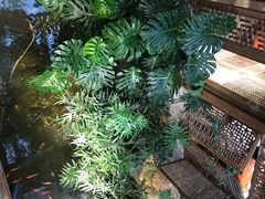-聚缘堂·海鲜私房菜(松岭路店)