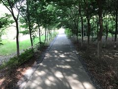 -南京金牛湖风景区