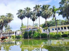 -中国科学院西双版纳热带植物园