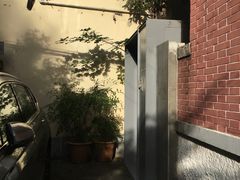 -胶囊画廊