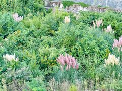 -贵阳市花溪国家城市湿地公园