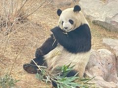 -青藏高原野生动物园