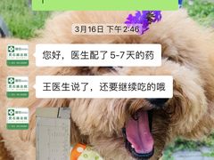 -爱侣宠医·鹦鹉专科·小型哺乳类·异宠专科(灵石路店)