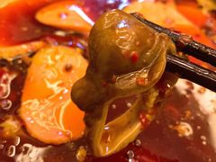 -黄潇洒老火锅(九眼桥宏济巷店)