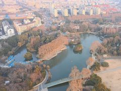 -红梅公园