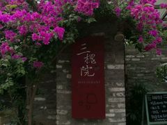 -三圣花乡旅游区