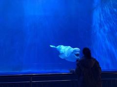 -多彩贵州城极地海洋世界