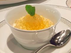 铁观音燕窝芒果布丁-伯衡55·吉品轩(乌鲁木齐南路店)