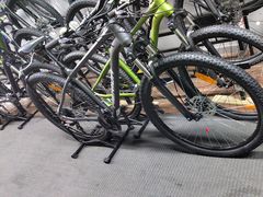 -道路口单车爱瓦士dahon大行