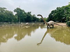 -上海海湾国家森林公园