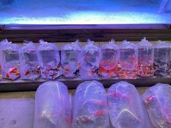 -华声天桥民俗文化园