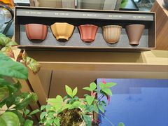 -万达广场(金堂店)