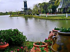 -上海鲜花港