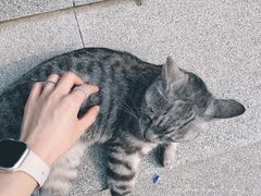 -西安大兴善寺