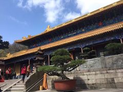 -普陀山风景名胜区-法雨禅寺