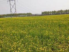 -兰陵国家农业公园