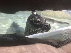 -南昌海洋公园