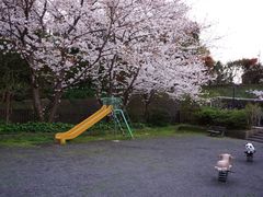 -灌篮高手动画打卡地
