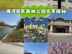 -上海海湾国家森林公园