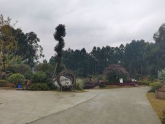 -空港花田景区